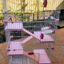 Bunny Cage 