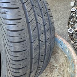 Mercedes Benz Rims And Tires 