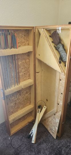 Arrows and case