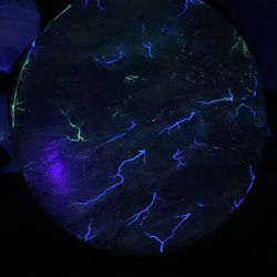 Dinner Table/wire Spool Tables