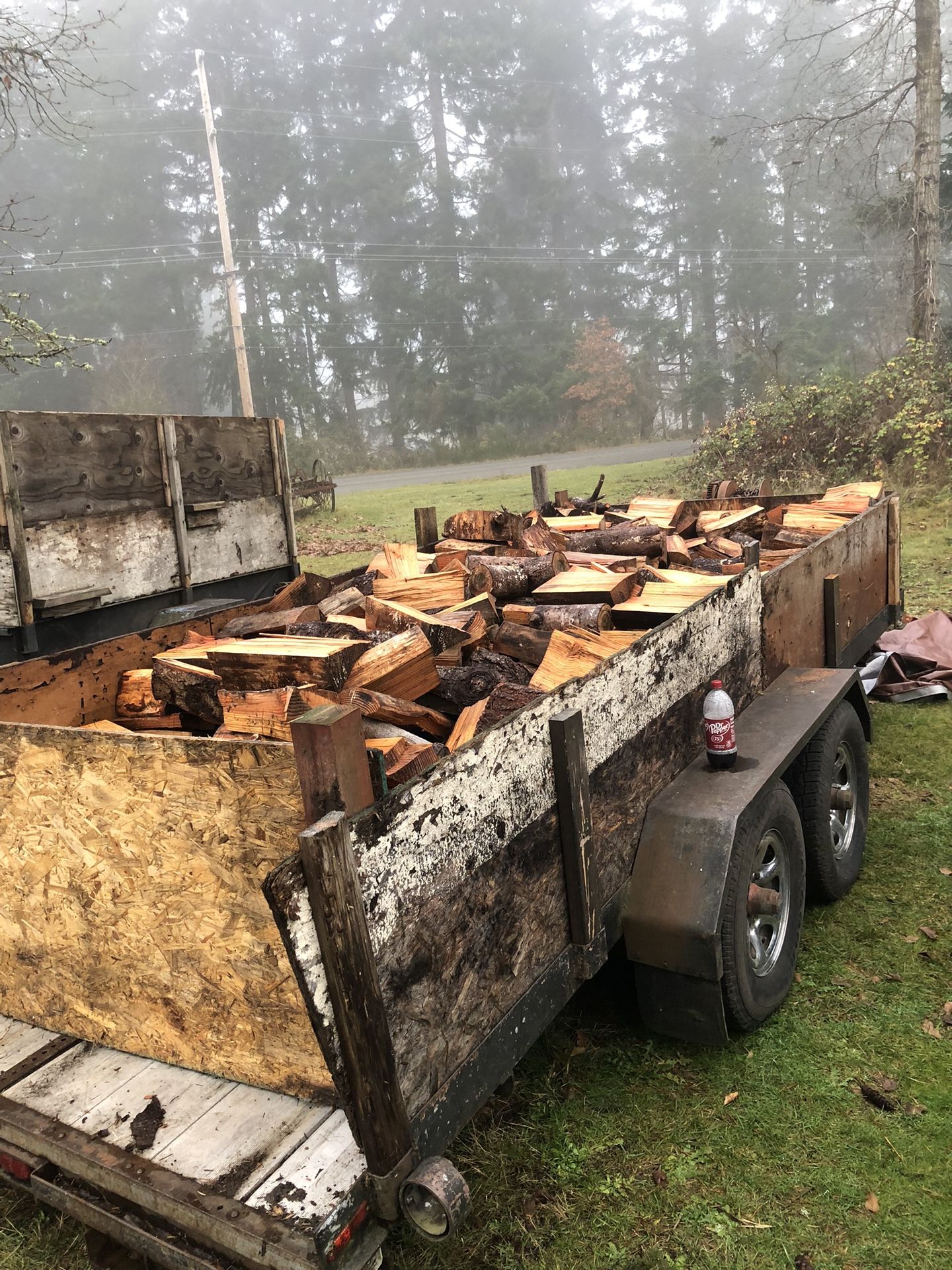 Seasoned Firewood