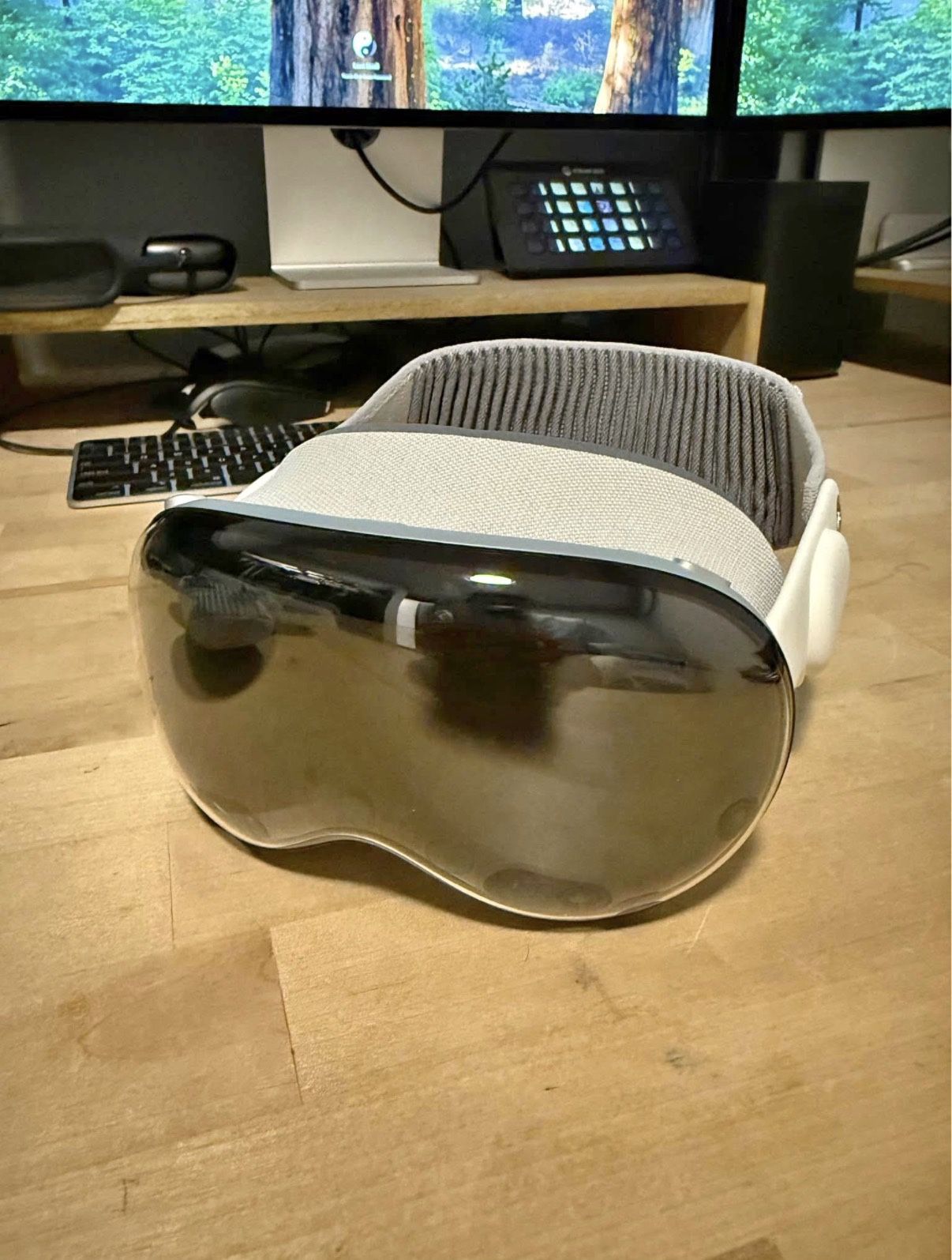 Mint Condition Apple Vision Pro 256GB w/ Case