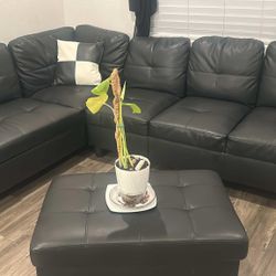 Black  Leather Sectional Couches 