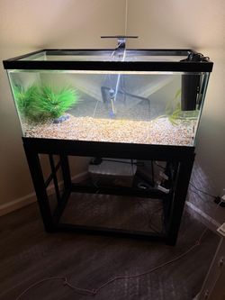 fish tank