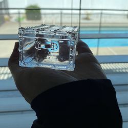 Louis Vuitton Glass Paper Weight