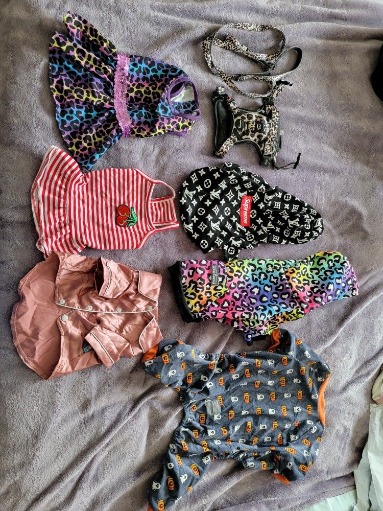 Dog Outfits