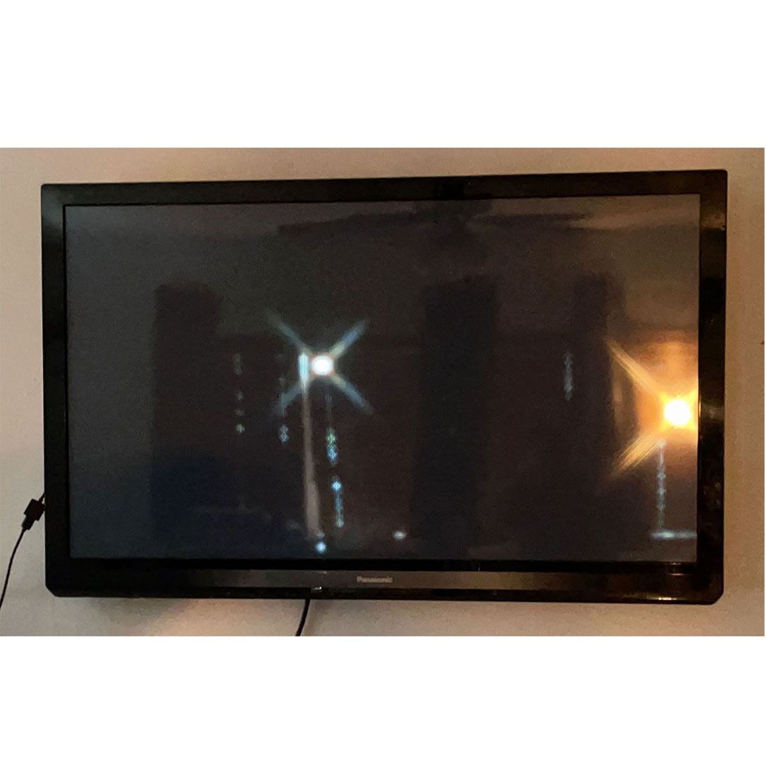 Panasonic 49” Flat Screen TV