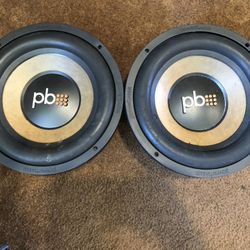 12 inch speakers