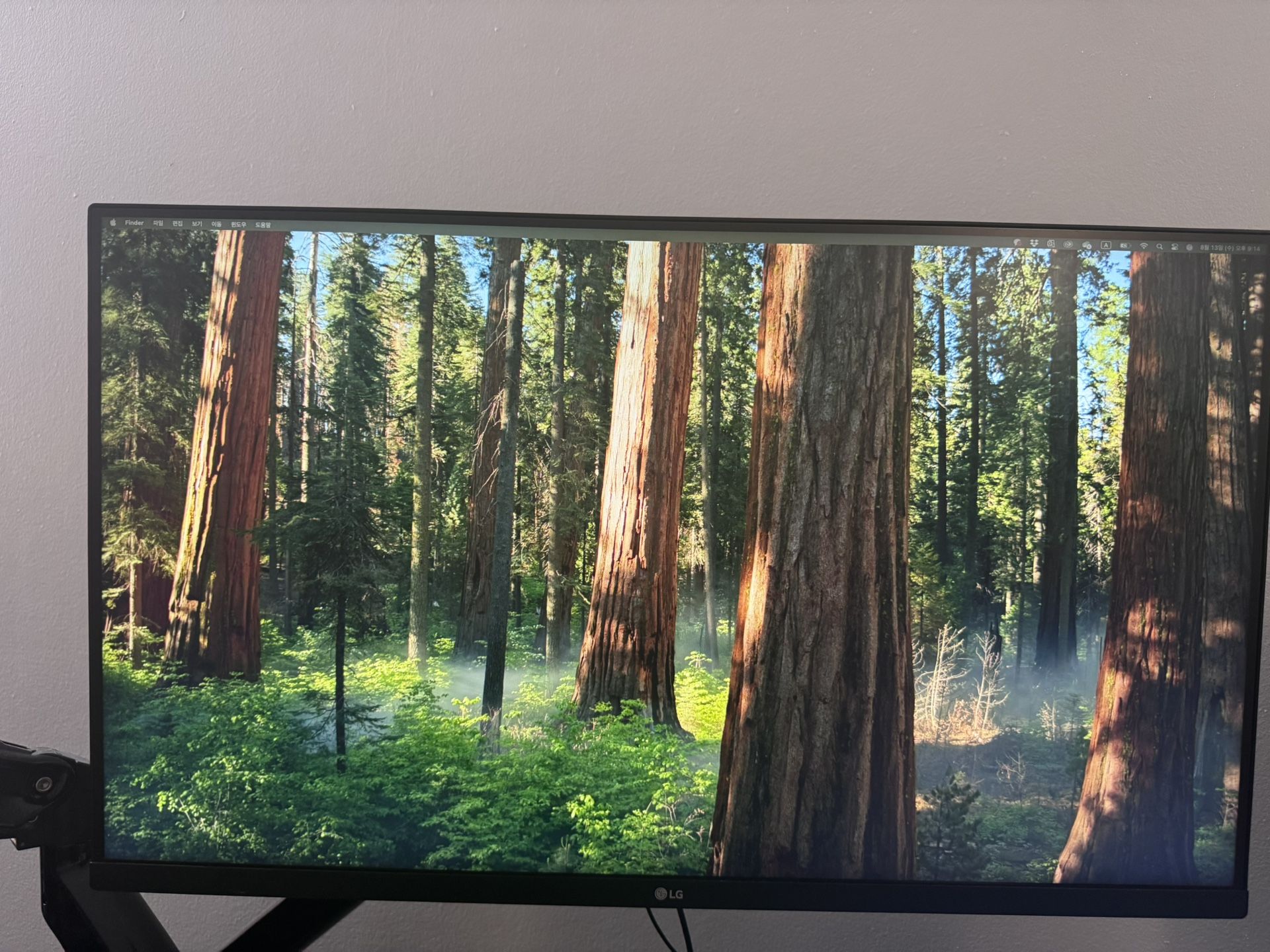 32inch LG Monitor