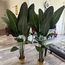 Pretty Artificial Plant 6 FT Tall With Sea Grass Belly Basket Set Of 2 ! Brand New
