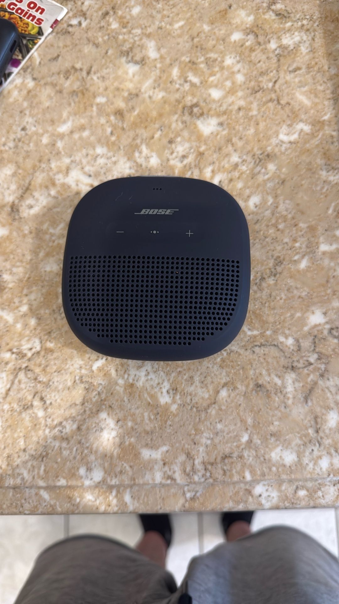 Bose Small Speaker With Strap