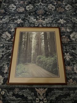 Woods all art