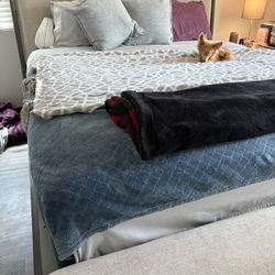 Bed Frame