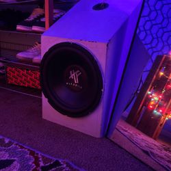 Sub Speaker And Receiver 
