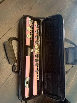 Pink flute with case