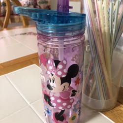 Minnie Mouse Water Bottle 