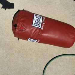 Punching Bag