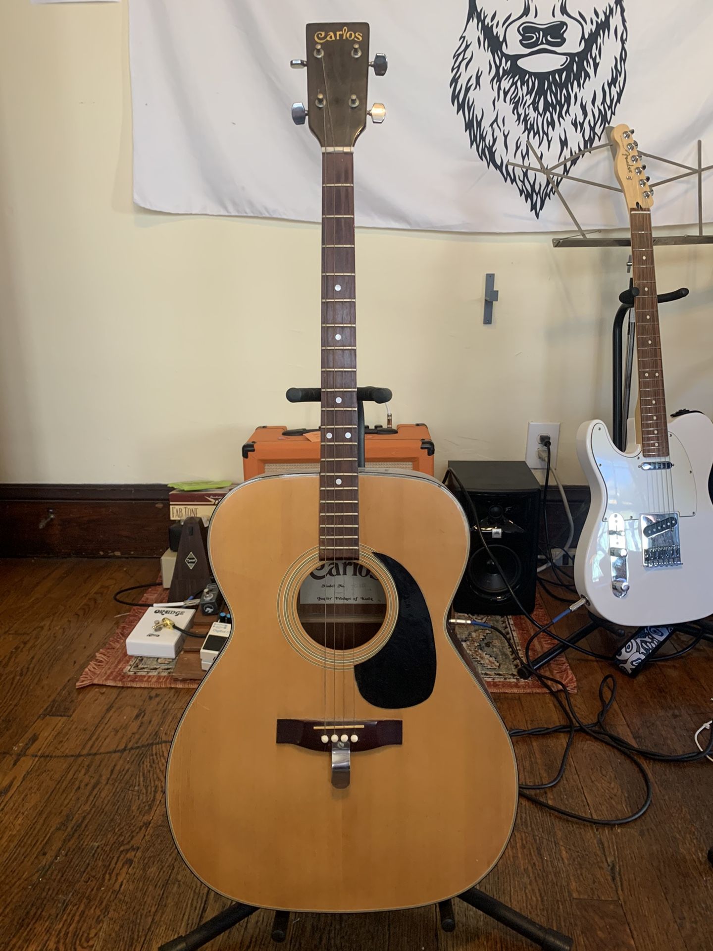 Carlos Tenor Acoustic Guitar