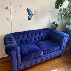Blue Furniture. 600$ For All