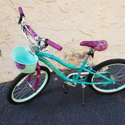 Schwinn 