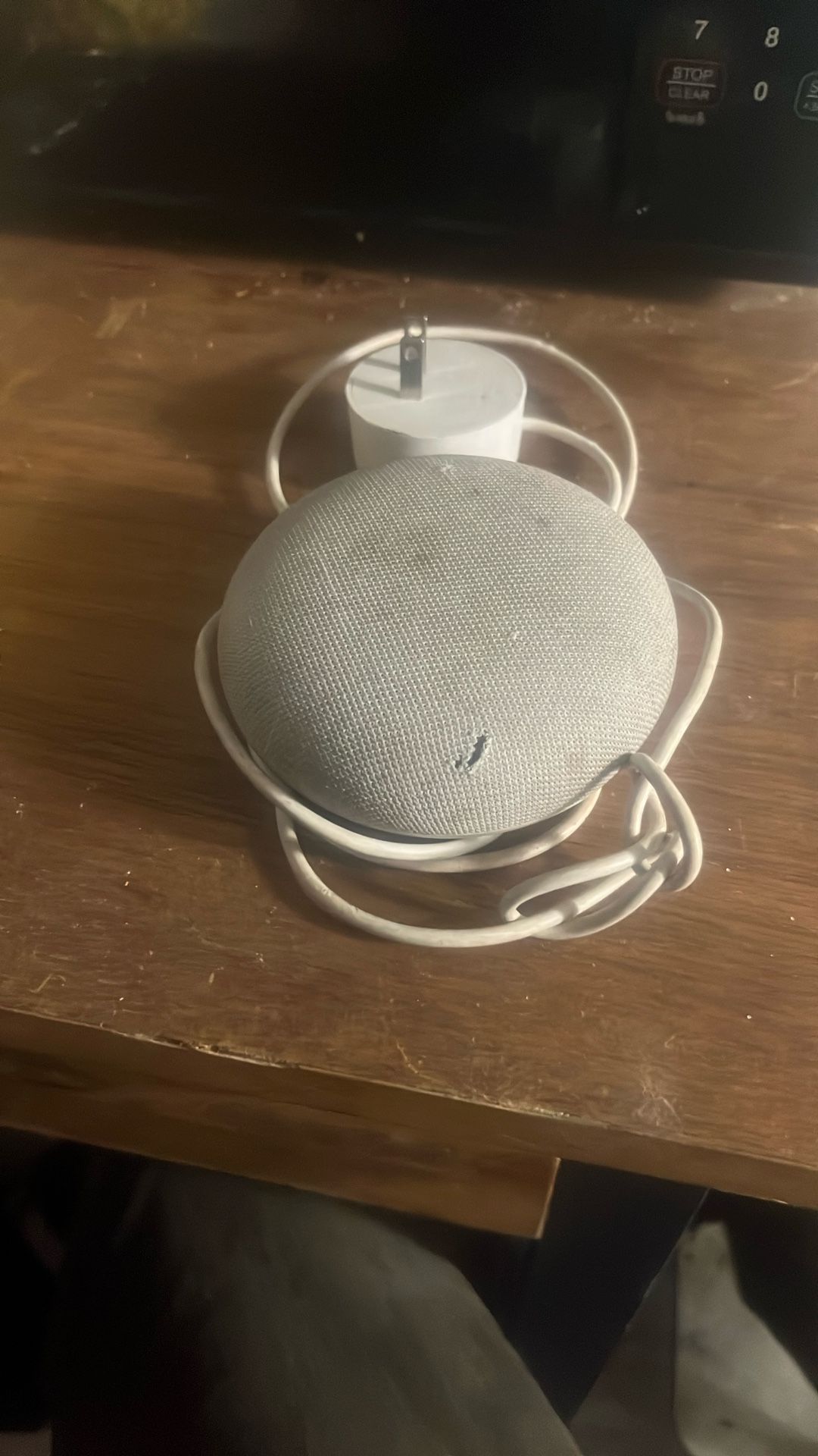 Google Echo