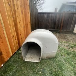 Outdoor Dog House