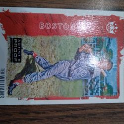 Ted Williams  Card 