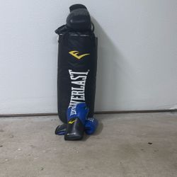 Everlast Boxing Bag With Boxing Gloves 16 Oz