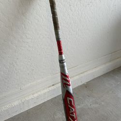 Baseball Bat