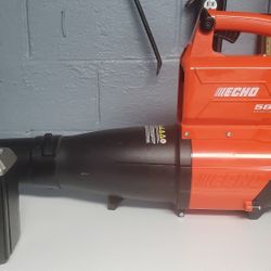 REDUCED! Echo 58 Volt Blower and String Trimmer Set