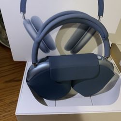 Apple Headphones (used)