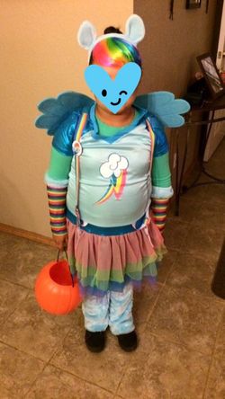 Medium rainbow dash $10 Firm