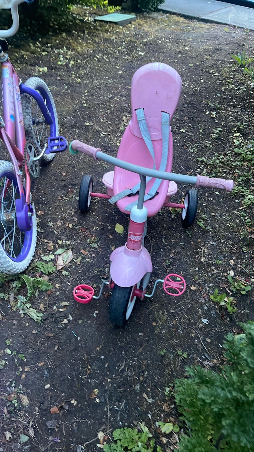 Radio Flyer Tricycle