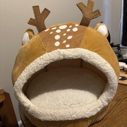 Cat Bed 