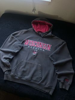 Y2K Wisconsin hoodie