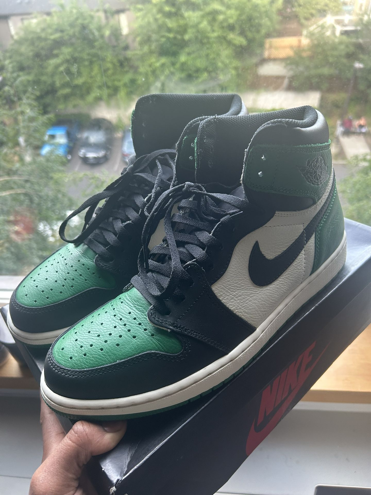 Pine Green 1