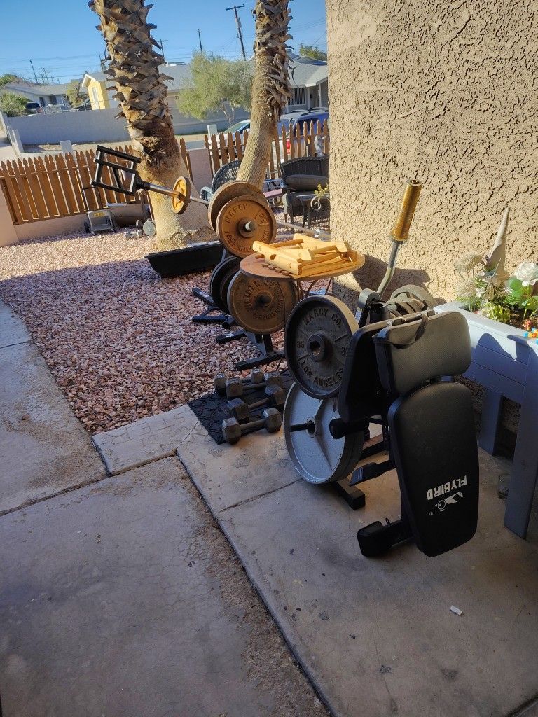 Delivery Available - Fitness Equipment Olympic Weights Bars Weights Stands