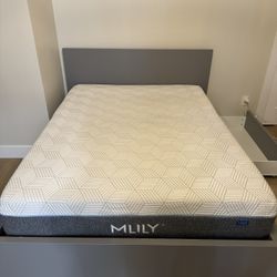 Queen Size Bed Frame + Mattress 