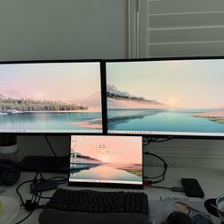 27” Dell Monitors + Dual Arm