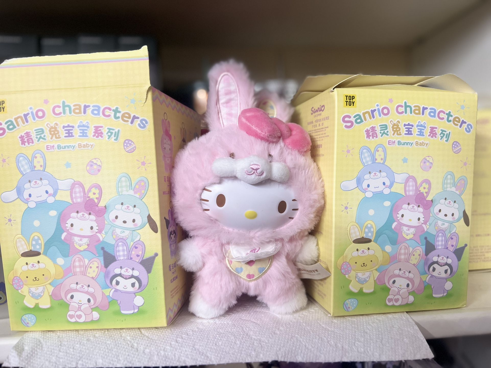Hello Kitty Sanrio pendant Blind Box (opened)