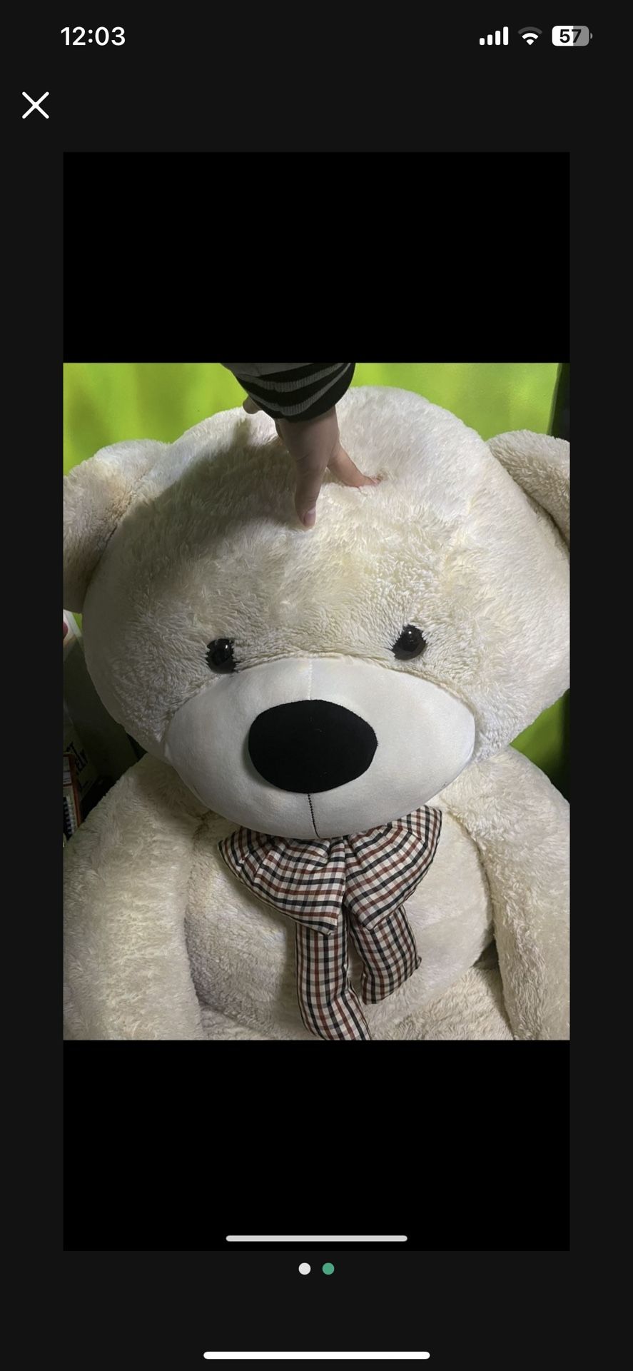 Big Teddy Bear