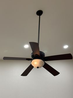 Ceilings Fan And Light Fixture 