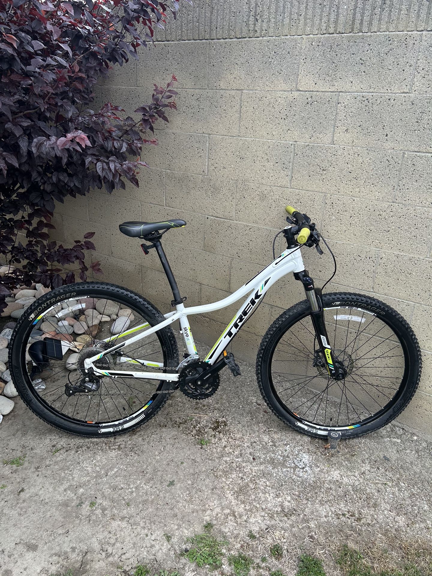 Trek Mountain Bike