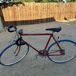 Sprint Schwinn Bike 