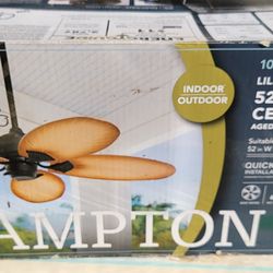 Indoor/outdoor Ceiling Fan