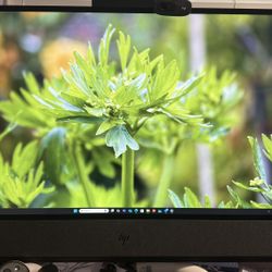 Hp Envy All In One 32 Inch 