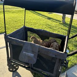 Dog Stroller Wagon Puppy