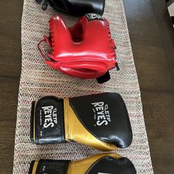 CLETO REYES GLOVES/HEADGEAR/PROTECTOR