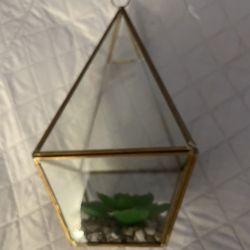 Atrium w Faux Succulents 