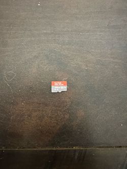 SanDisk 256GB Micro SD Card